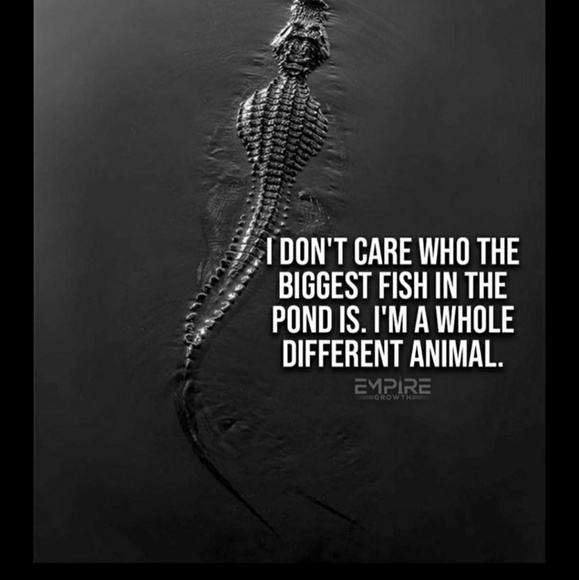 Meet your Posher, Mondo - Picture 1 of 1